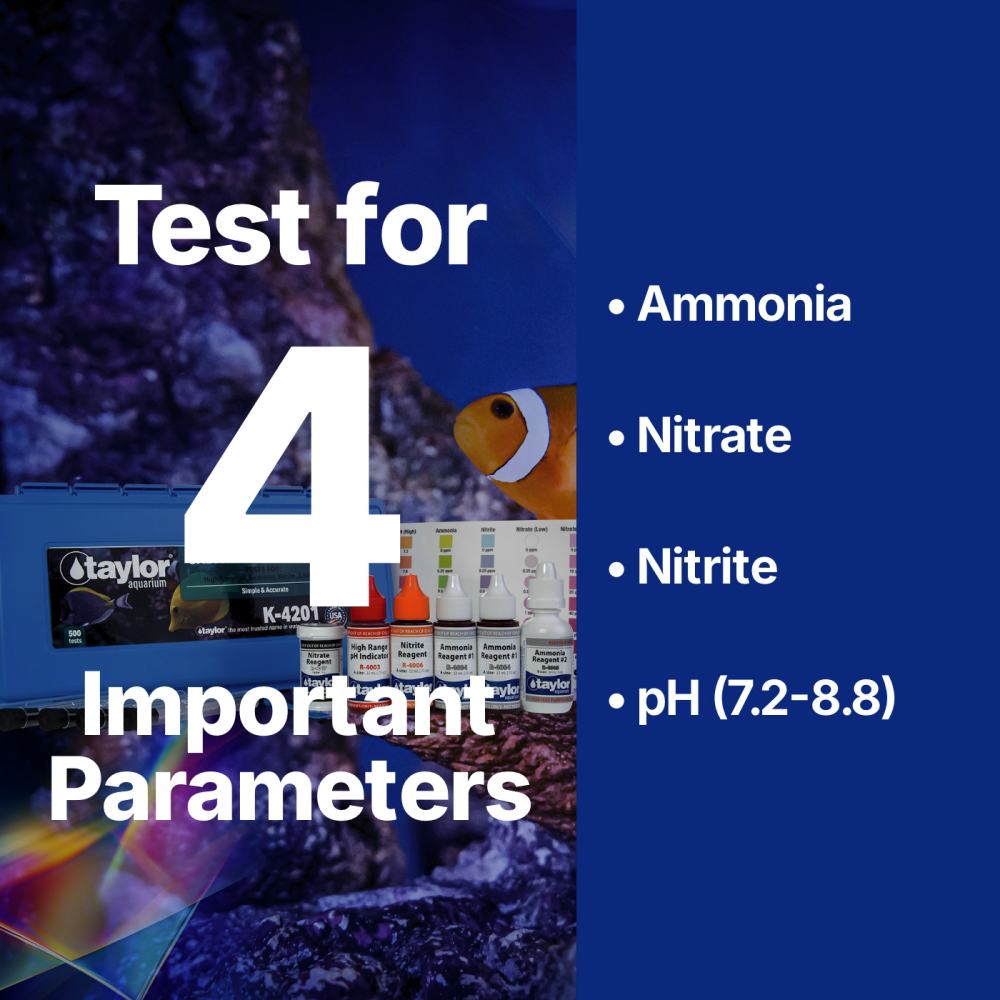 Saltwater Aquarium Master Kit
