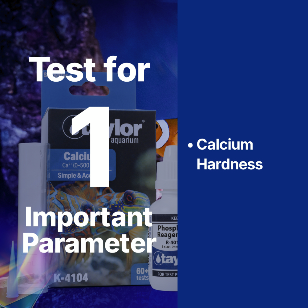 Aquarium Calcium Kit