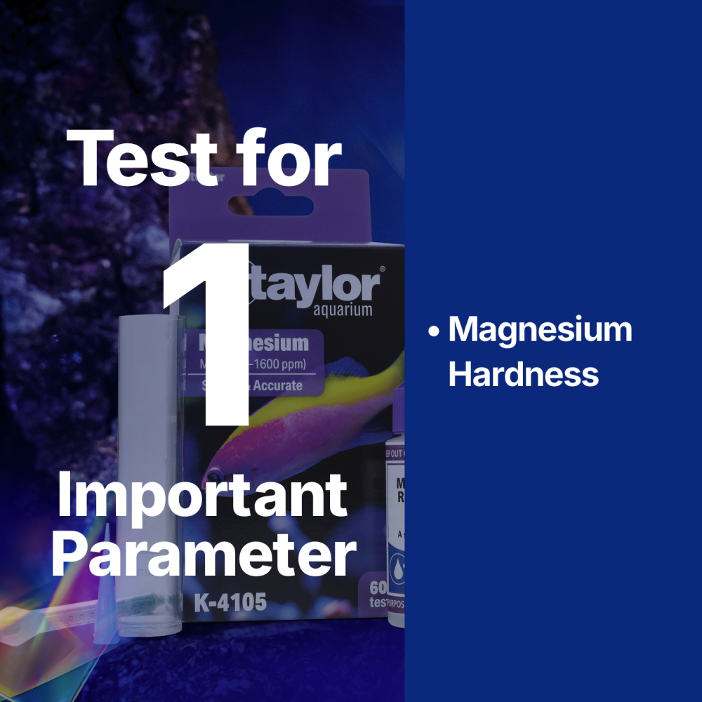 Aquarium Magnesium Kit