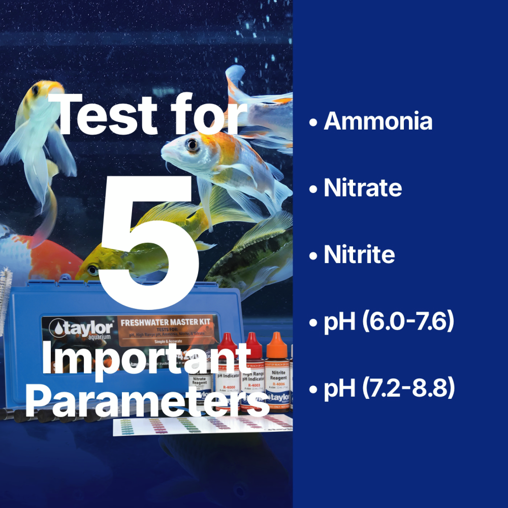 Freshwater Aquarium Master Kit